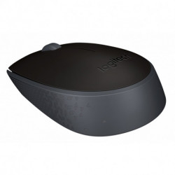 Logitech M171 mouse RF Wireless Optical 1000 DPI Ambidextrous 910-004424