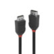 Lindy 2m DisplayPort Cable 1.2, Black Line 36492