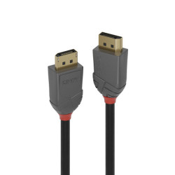 Lindy 36482 DisplayPort-Kabel 2 m Schwarz