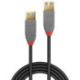 Lindy 36762 câble USB 2 m USB 3.2 Gen 1 3.1 Gen 1 USB A Noir