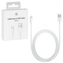 APPLE CAVO LIGHTNING TO USB CABLE (2 M) MD819ZM/A