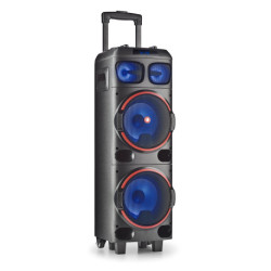 NGS WILD DUB 1 Tragbarer Stereo-Lautsprecher Schwarz 300 W WILDDUB1